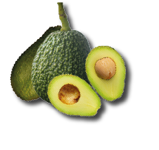 Mejor Aguacates del Oriente de Antioquia