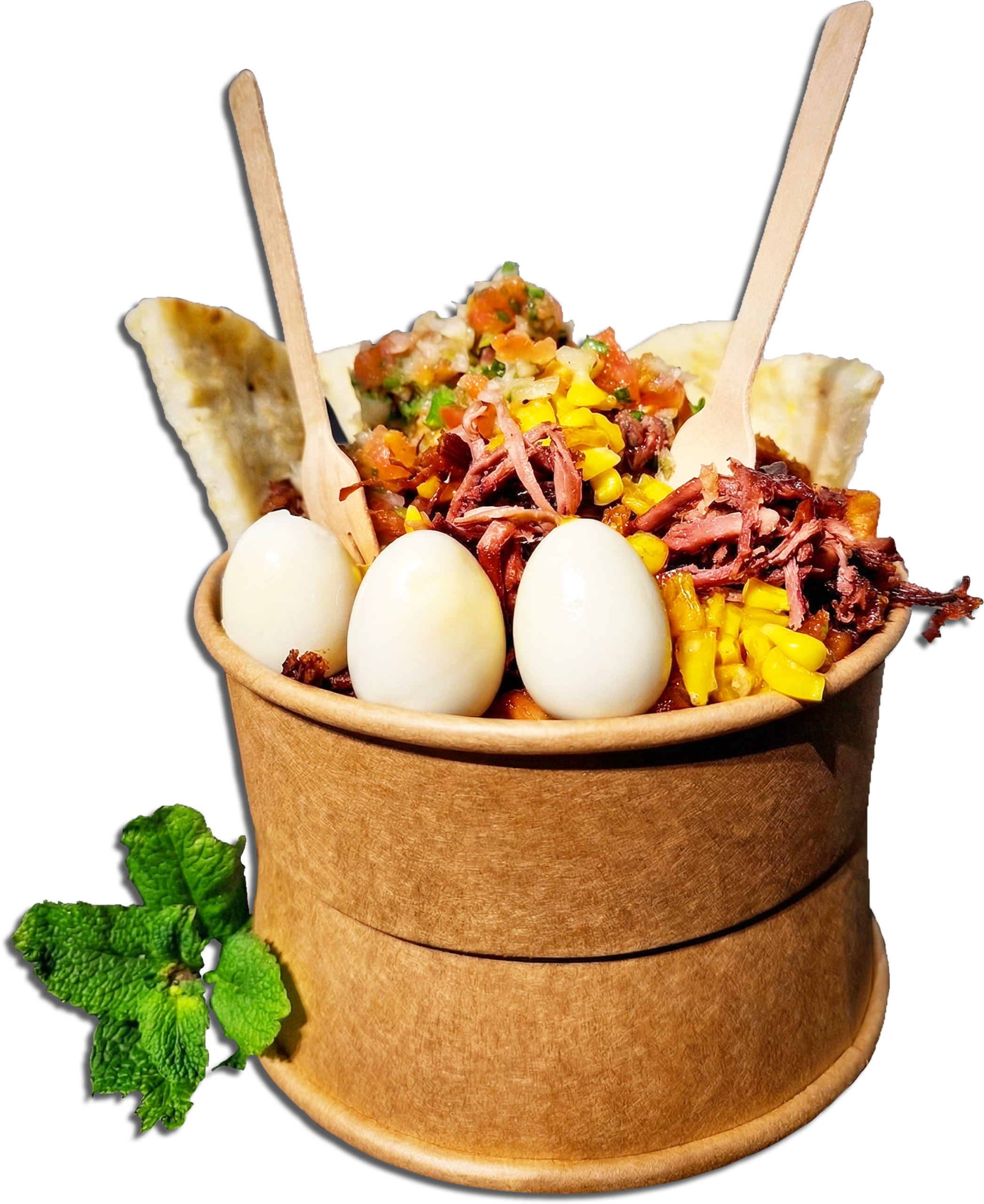 Cultivo de Aguacate en Sonsón